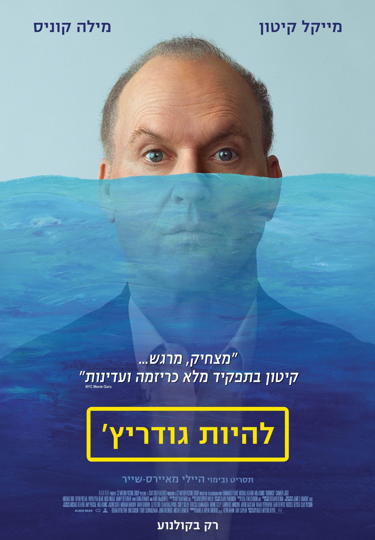 גודריץ -סרט