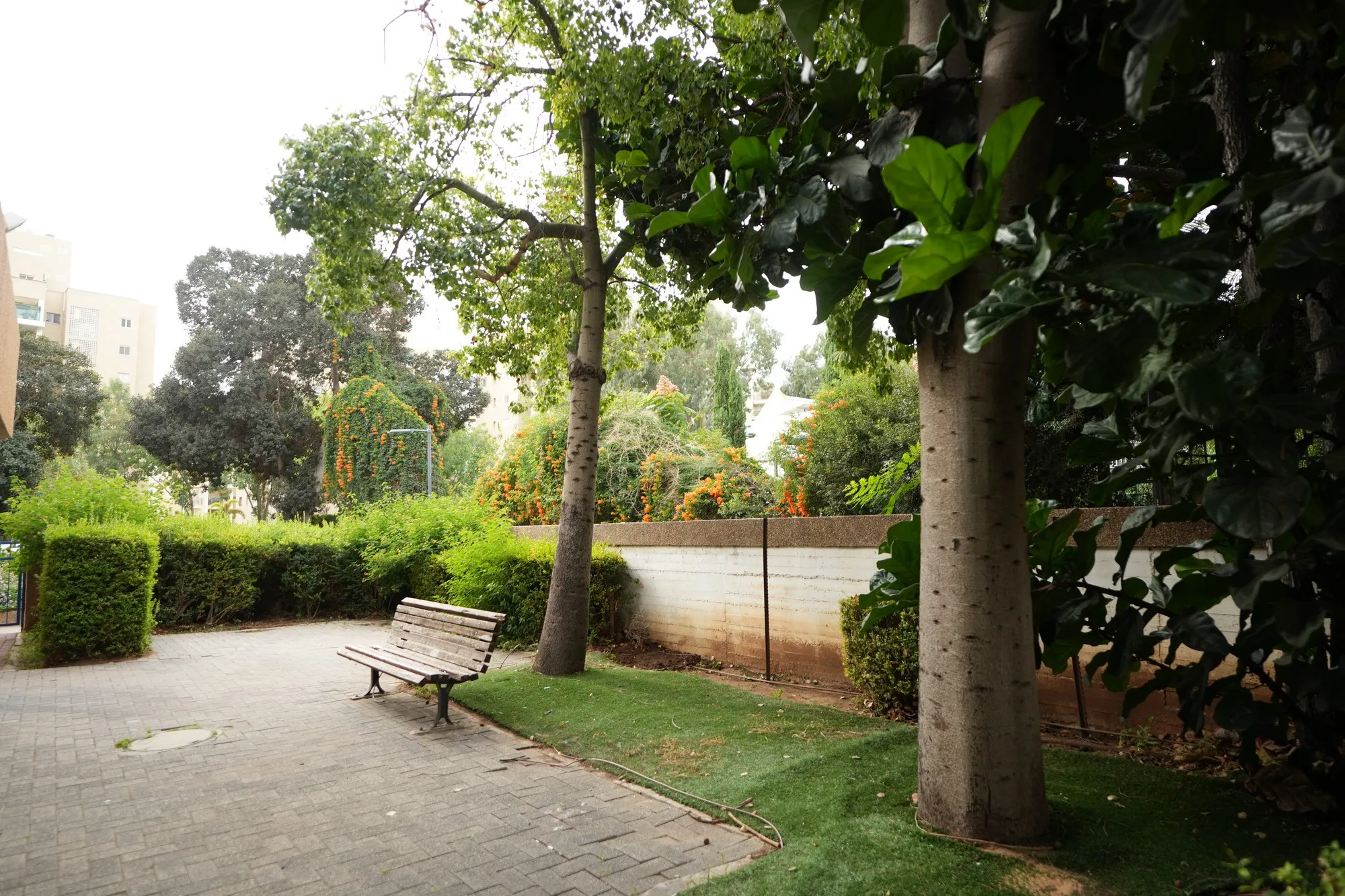 אולם כנסים 4